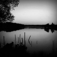 /album/campbellm6w96/photolia-b01-jpg/